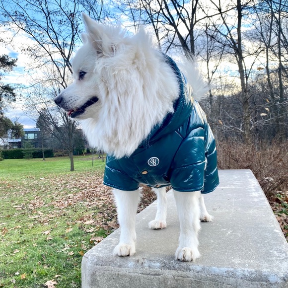 Dog snowsuit. Dog puffer jacket. Wag Swag Brand - Picture 3 of 3